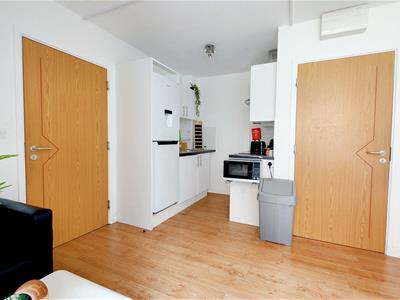 Picture 8